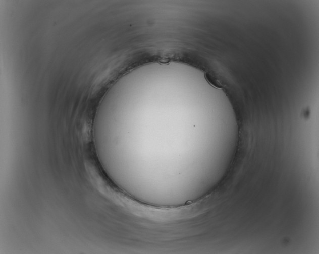 X0000116340039200912221450