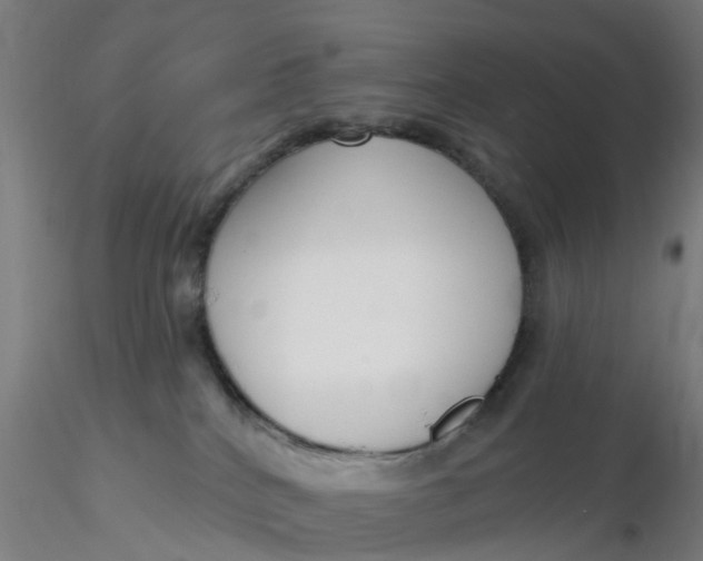 X0000116340040200912221450