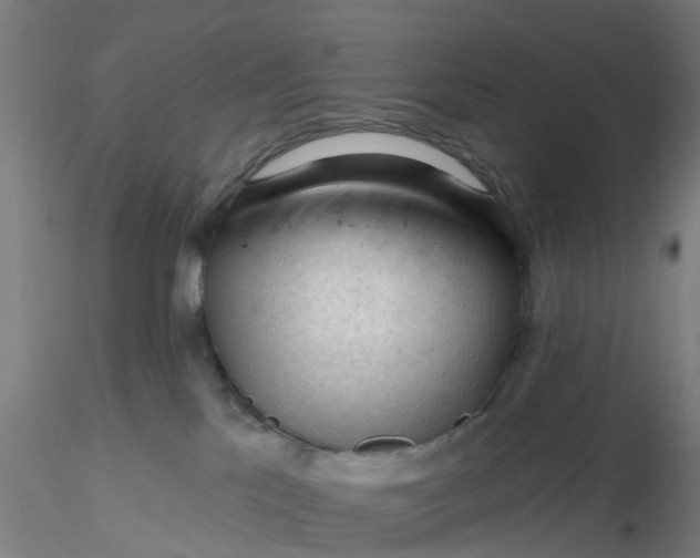 X0000116340041200912221450