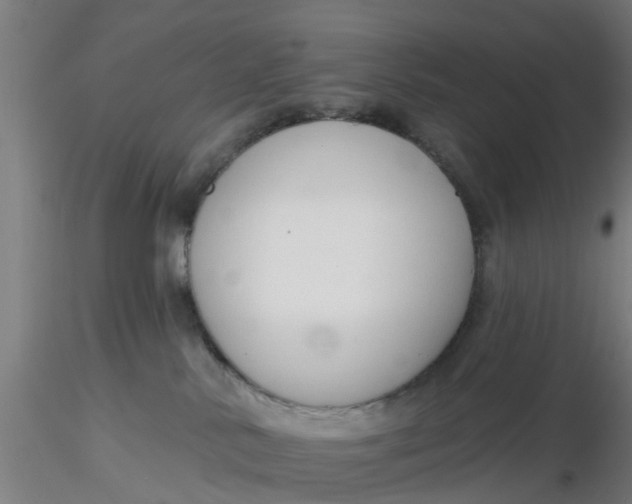 X0000116340042200912221450