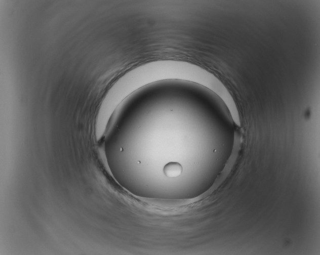 X0000116340043200912221450