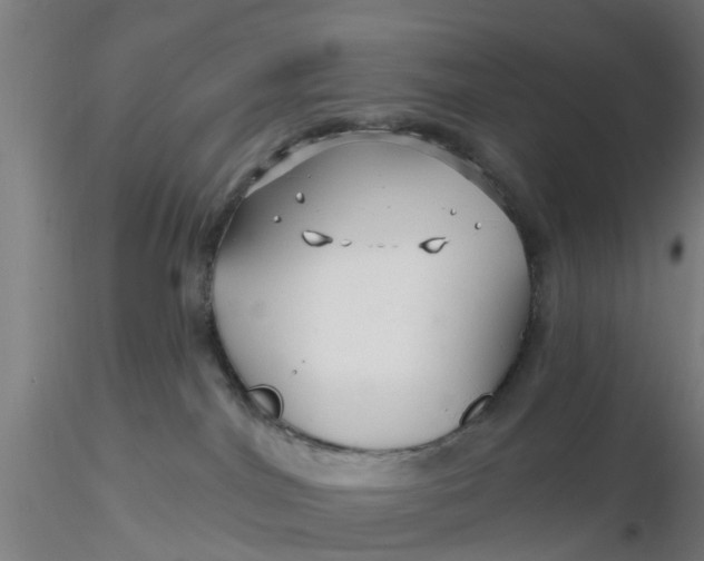 X0000116340044200912221450