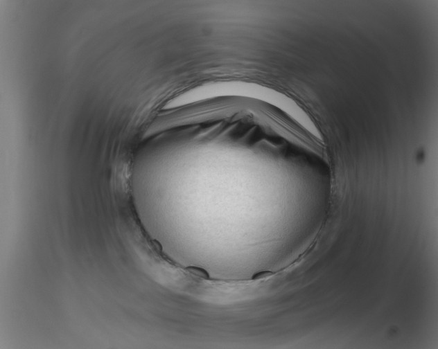 X0000116340045200912221450