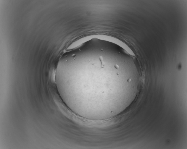 X0000116340046200912221450