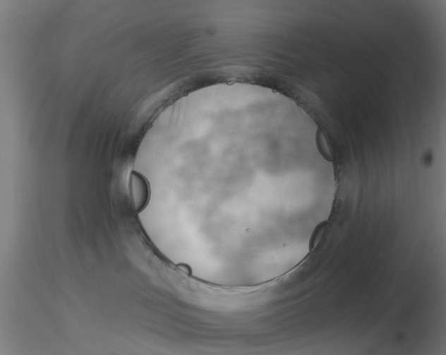 X0000116340047200912221450