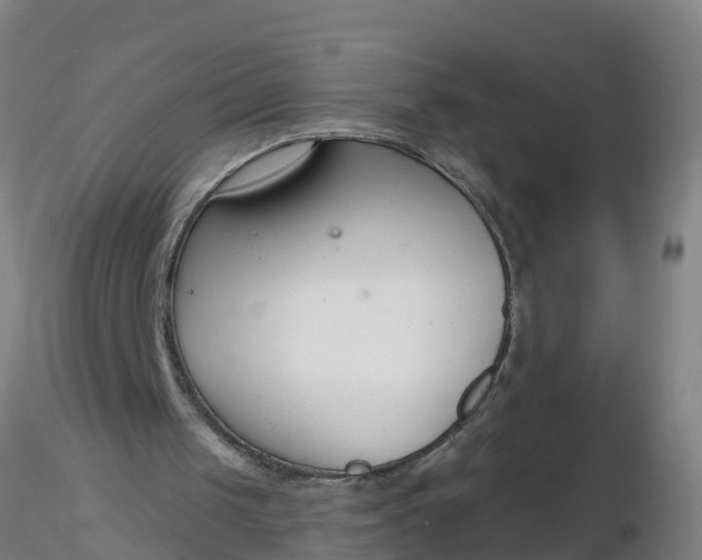 X0000116340049200912221449