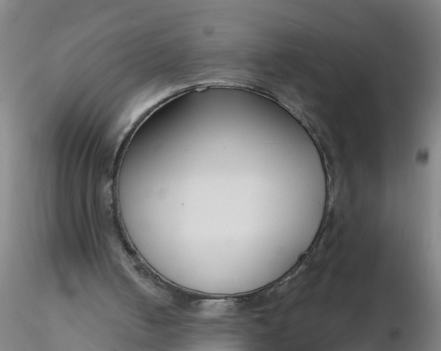 X0000116340050200912221449