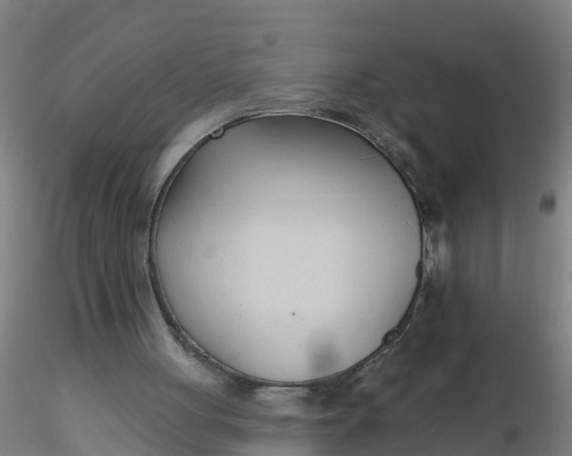 X0000116340051200912221449