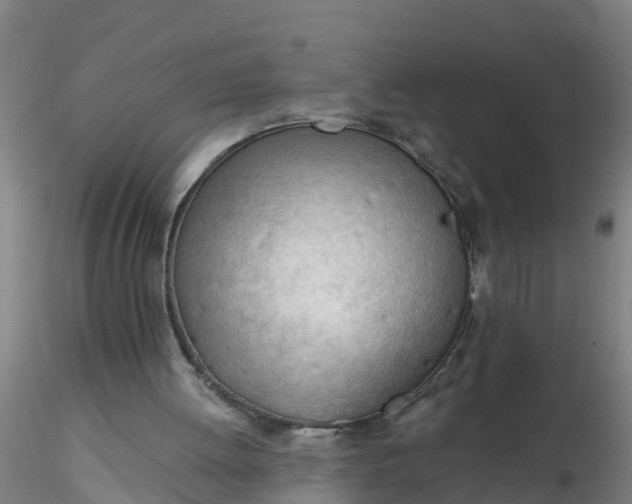 X0000116340052200912221449