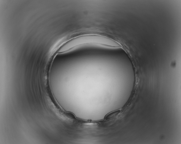 X0000116340053200912221449