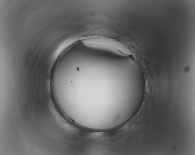 X0000116340054200912221449