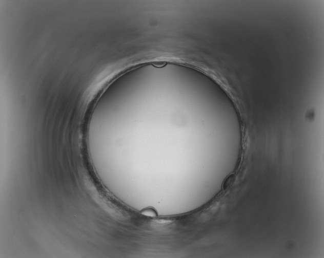 X0000116340055200912221449