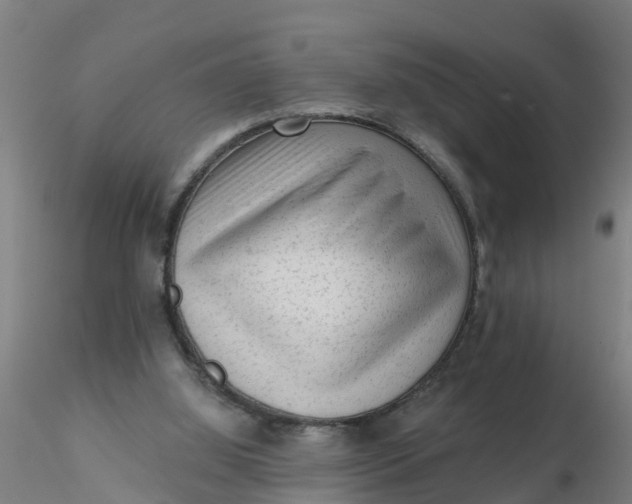 X0000116340060200912221449