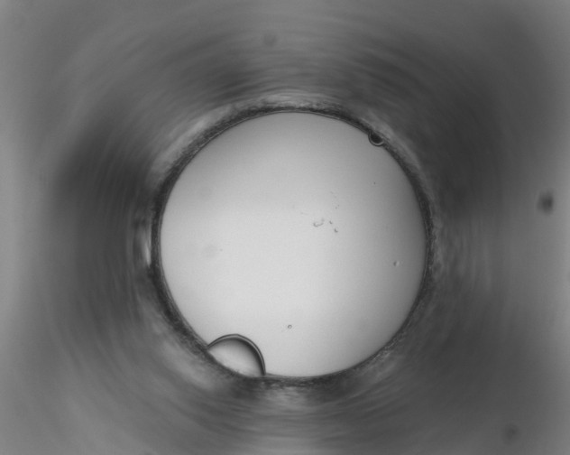 X0000116340062200912221449