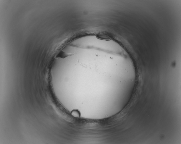 X0000116340066200912221449