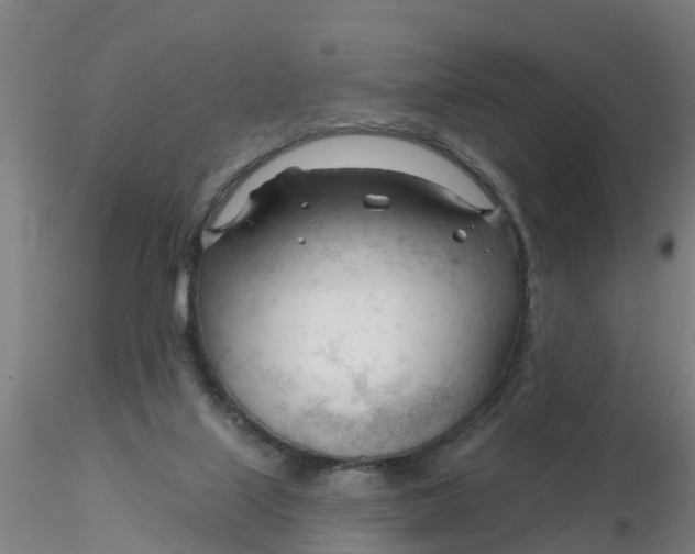 X0000116340067200912221449