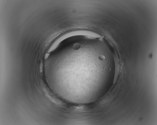 X0000116340068200912221450