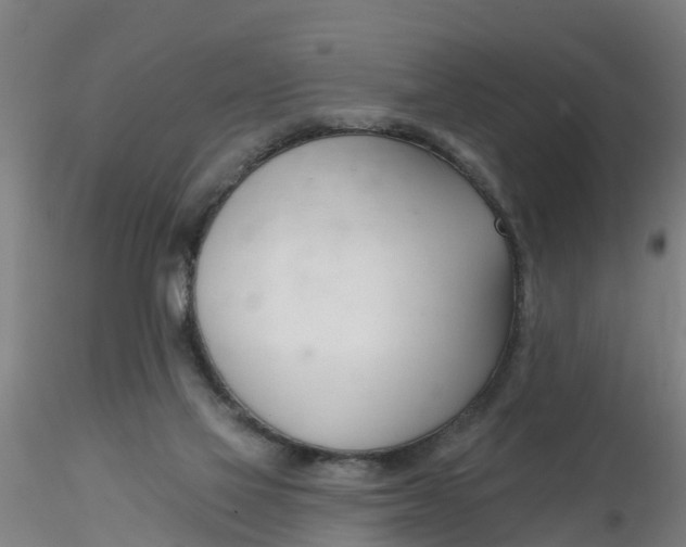 X0000116340069200912221450