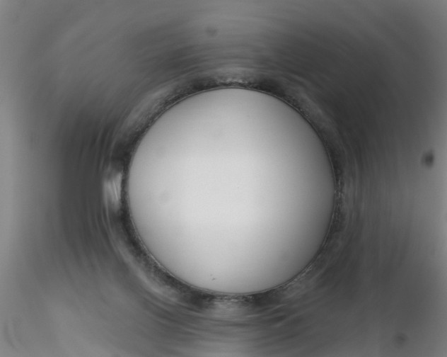 X0000116340070200912221450