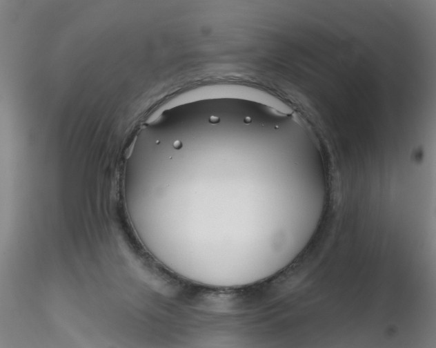 X0000116340071200912221450