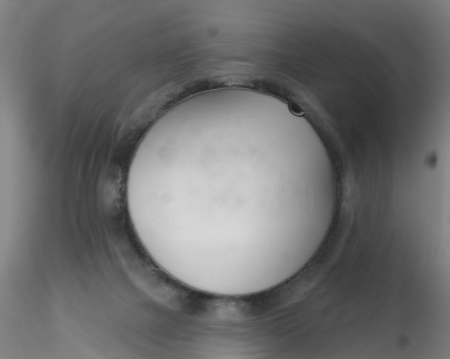 X0000116340073200912221450