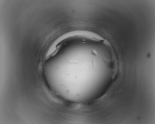 X0000116340074200912221450