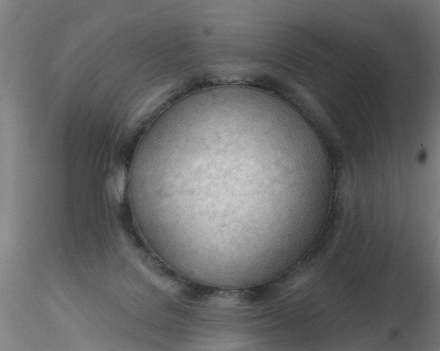 X0000116340076200912221450