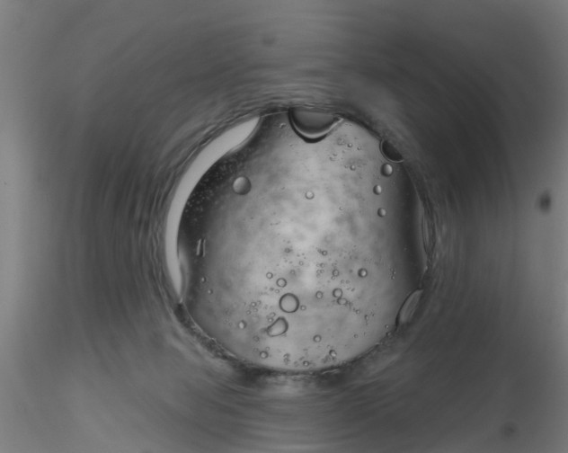 X0000116340077200912221450