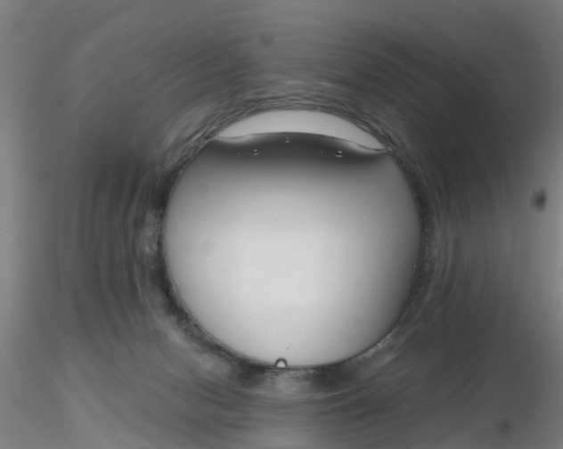 X0000116340078200912221450