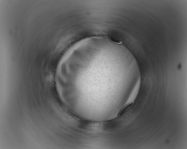 X0000116340084200912221450