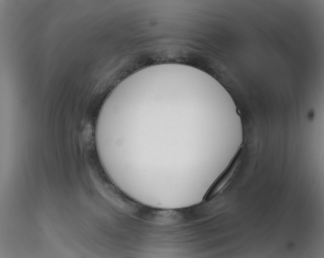 X0000116340087200912221450