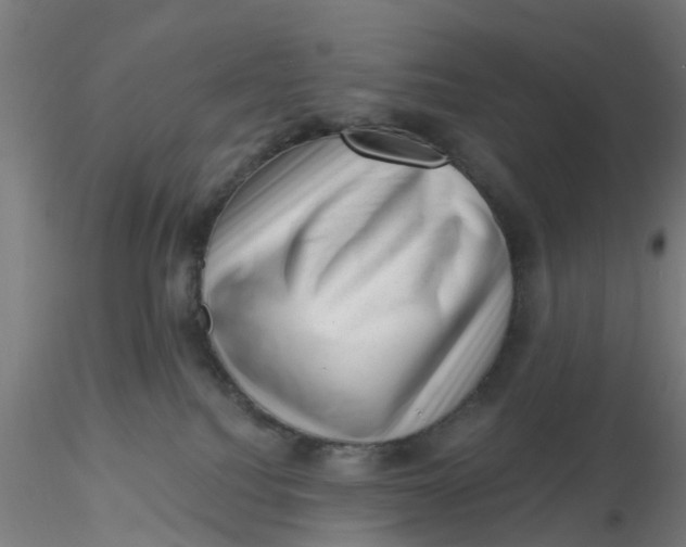 X0000116340088200912221450