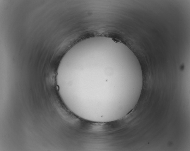 X0000116340090200912221450