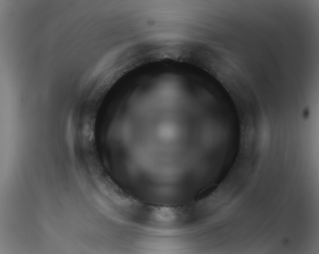 X0000116340091200912221450