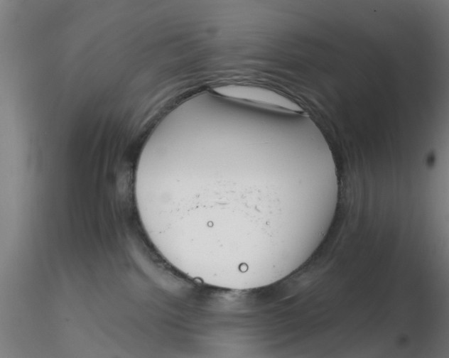 X0000116340092200912221450