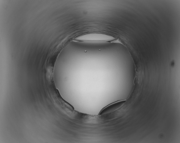 X0000116340093200912221450