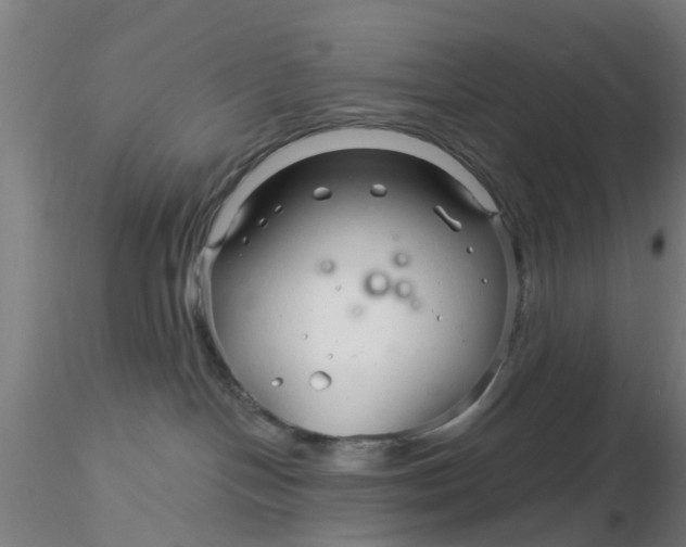 X0000116340094200912221450