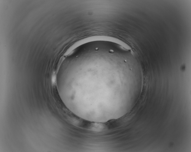 X0000116340095200912221450