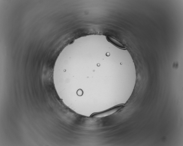 X0000116340096200912221450