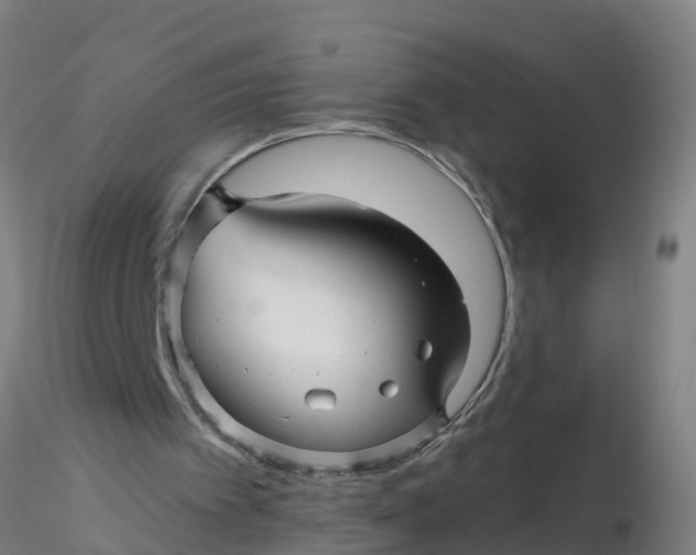 X0000116340097200912221449