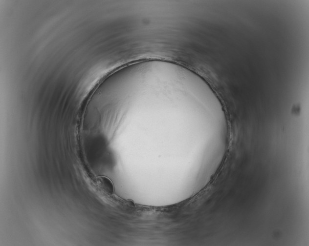 X0000116340098200912221449