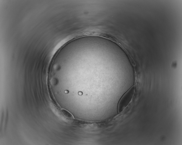 X0000116340100200912221449