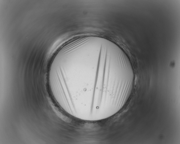 X0000116340101200912221449