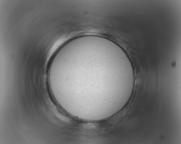 X0000116340102200912221449