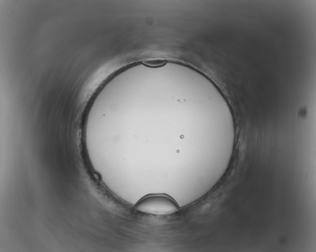 X0000116340103200912221449