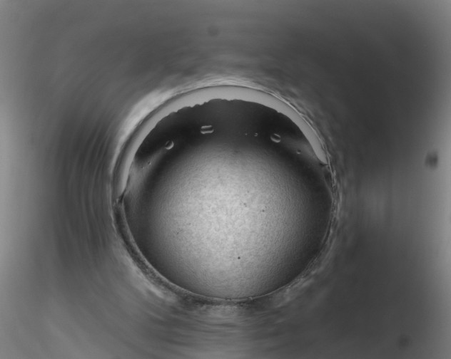 X0000116340104200912221449