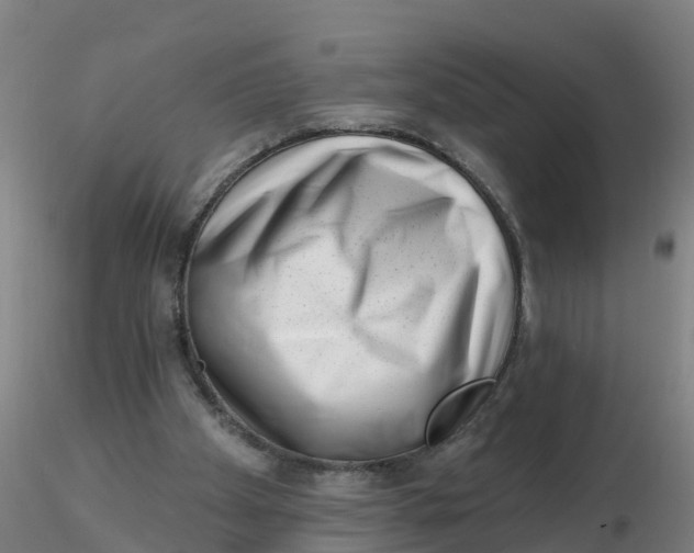 X0000116340105200912221449