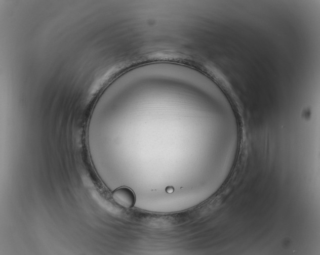 X0000116340106200912221449