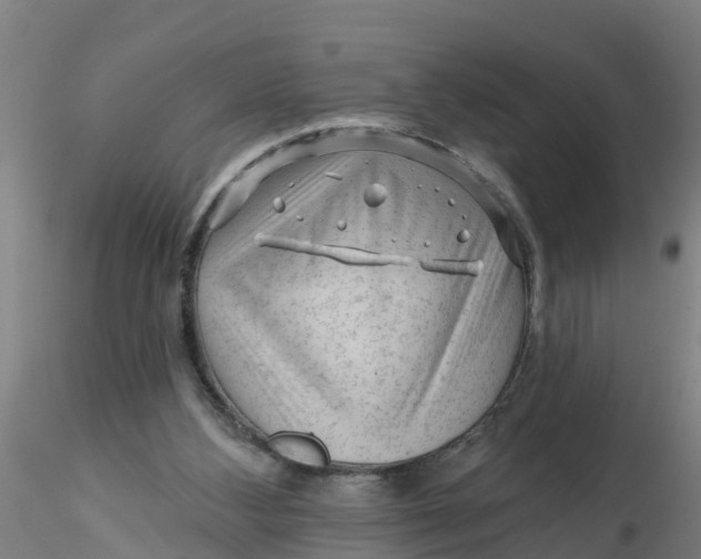 X0000116340108200912221449