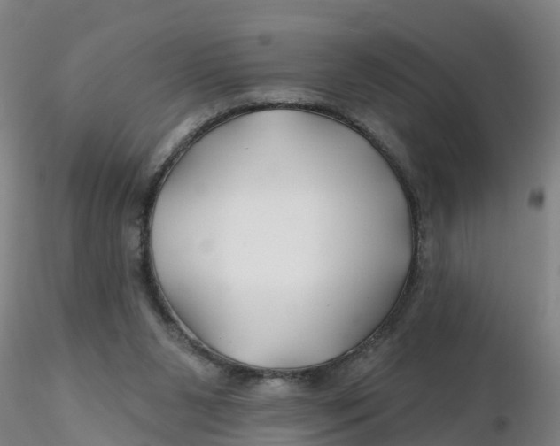 X0000116340111200912221449